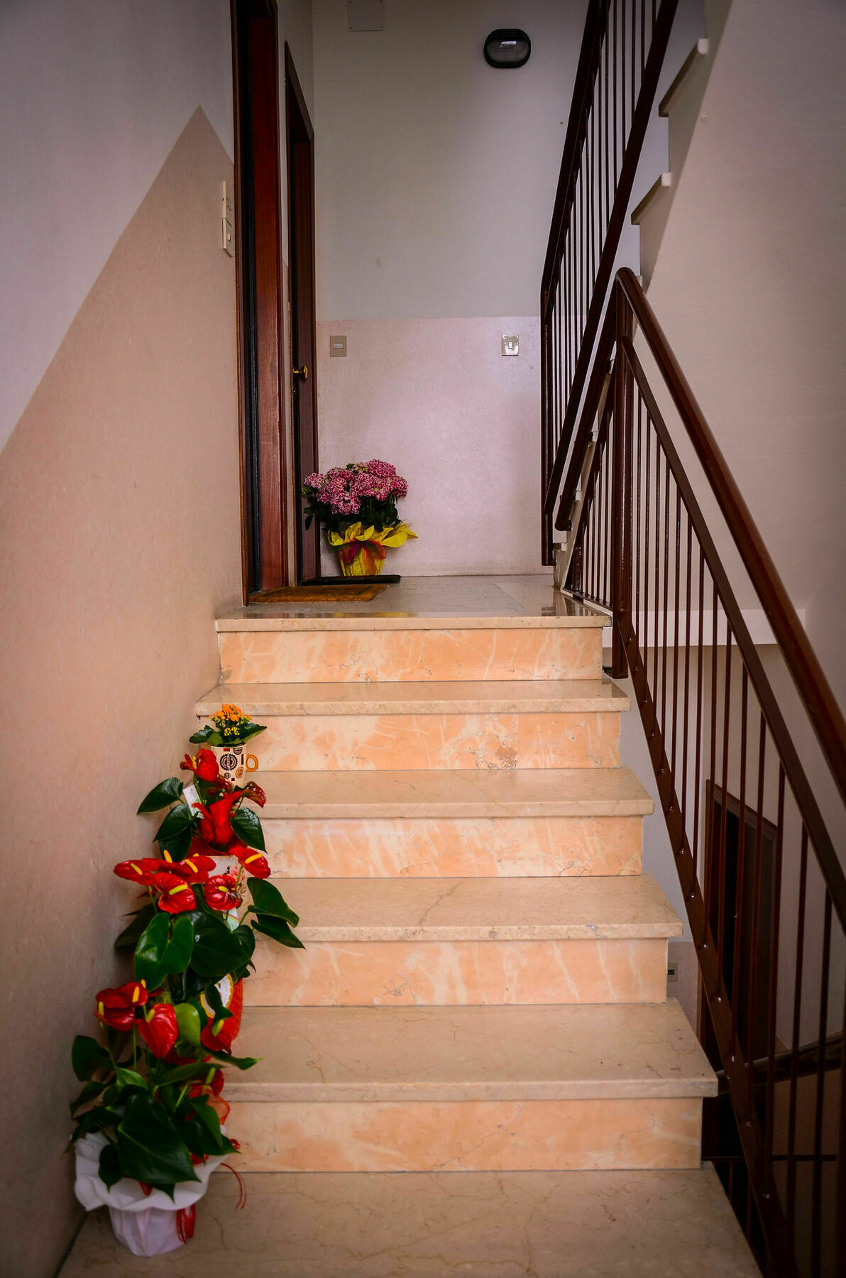 Il Piccolo Piacenza Hotel Luaran gambar