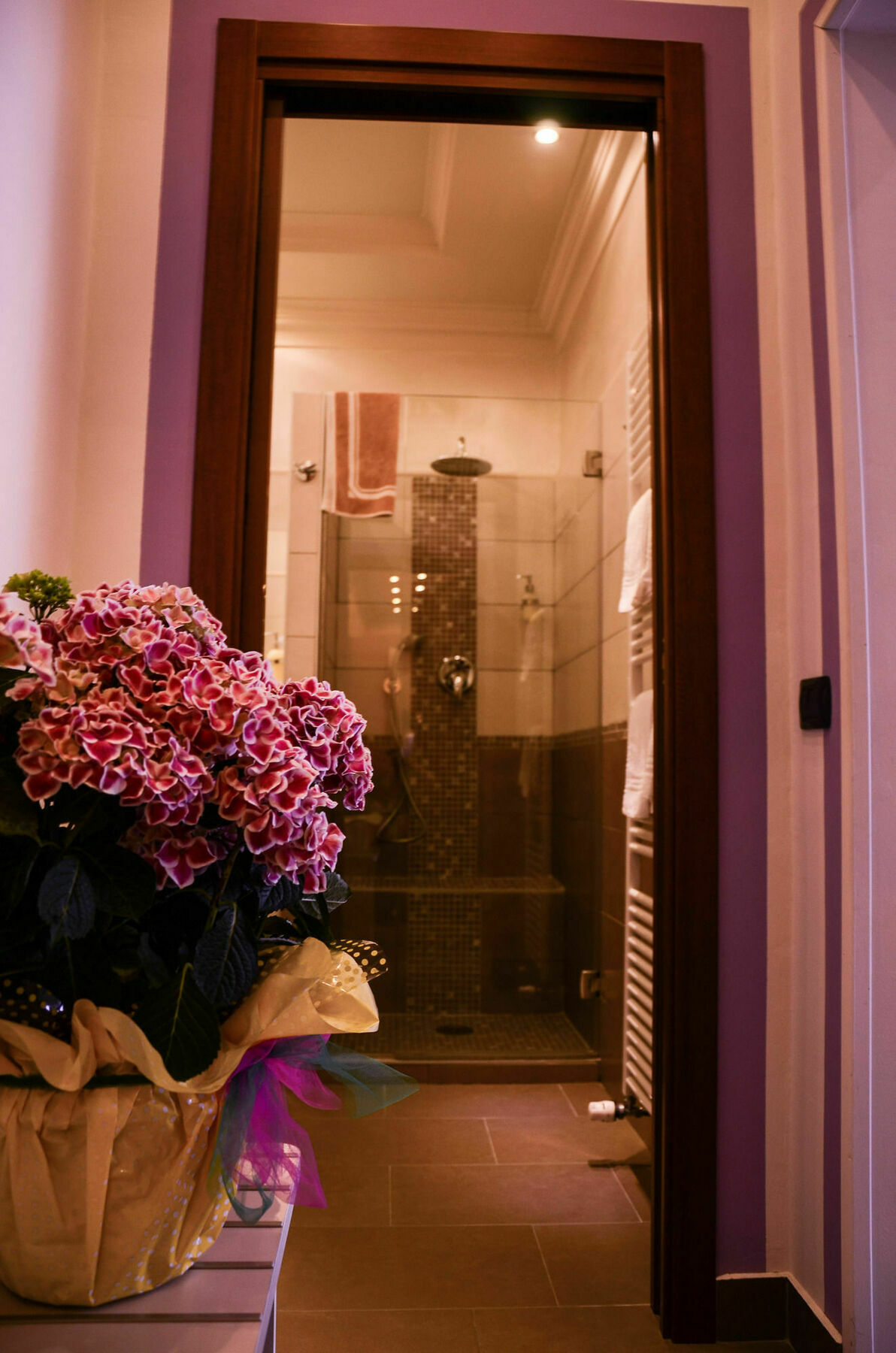 Il Piccolo Piacenza Hotel Luaran gambar